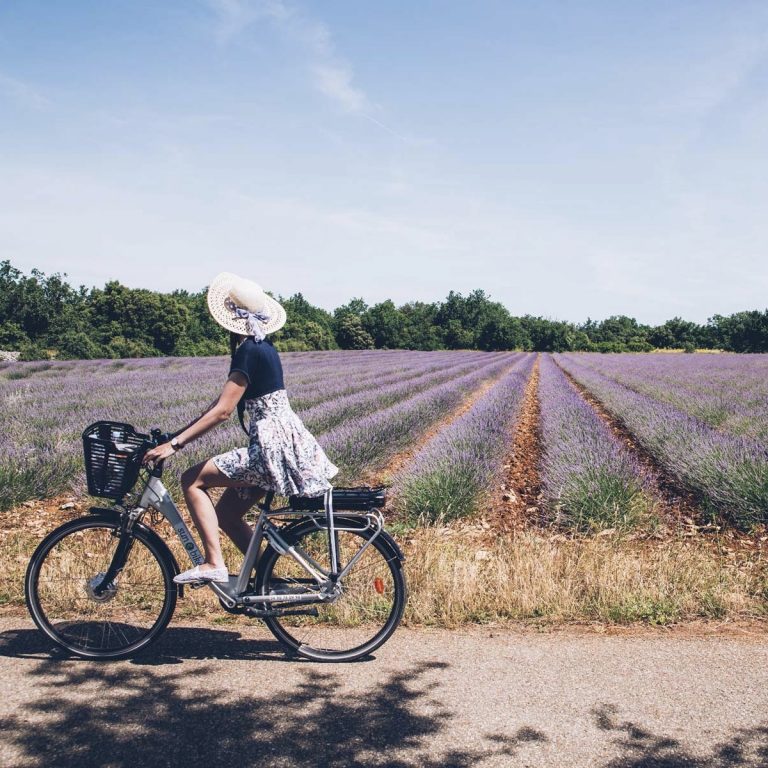 1. Bike Ride