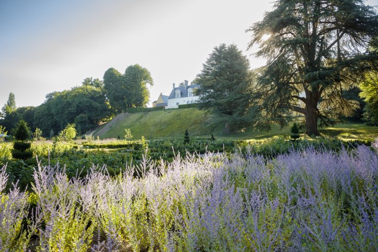 Château Louise de La Vallière -_ES_3586