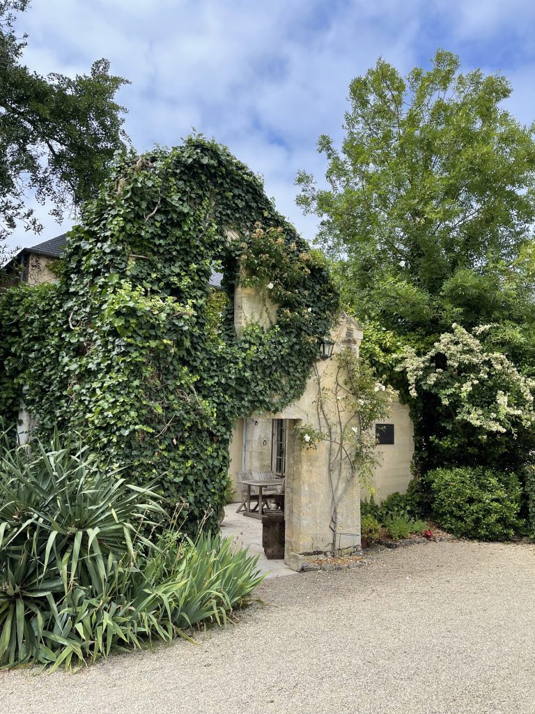 Château la Chenevière - Garden patio