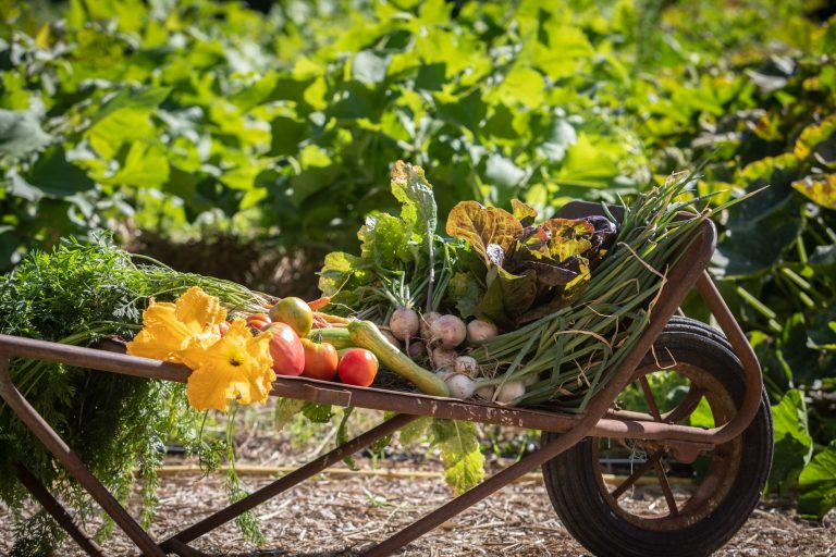 FLEUR DE LOIRE - CHRISTOPHE HAY GARDEN 1