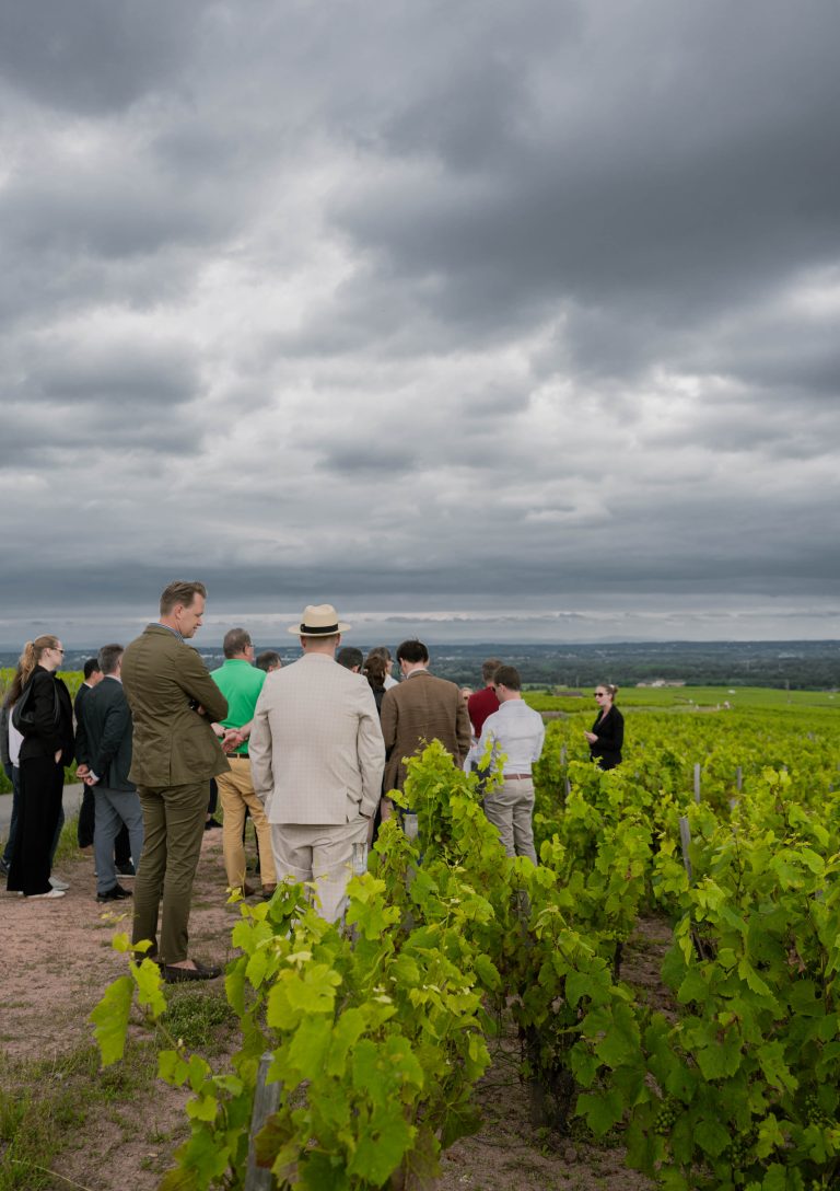 VIP Limousine France - Portrait - Day - Customers in our WineTour Signature offer