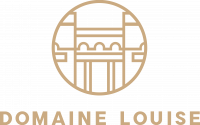 LOGO DOMAINE LOUISE VECTOR - taupe